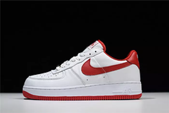 Nike Air Force 1 Low Fo Fi Fo AQ5107-100