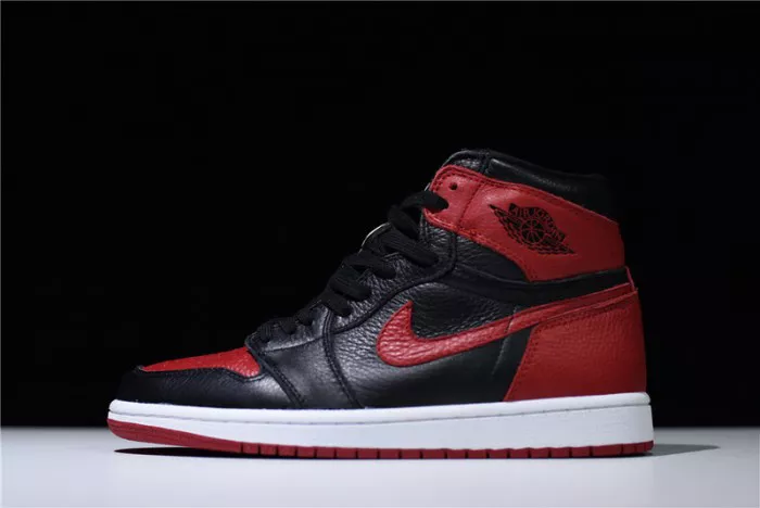 Air Jordan 1 Retro OG High Homage To Home AR9880-023