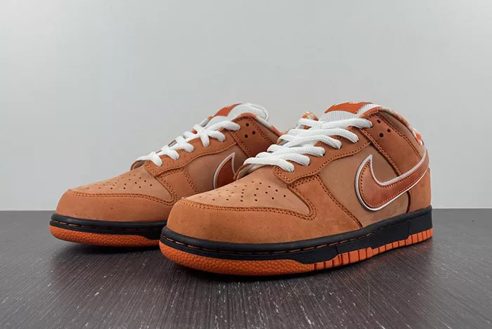 Concepts x Nike SB Dunk Low FD8776-800