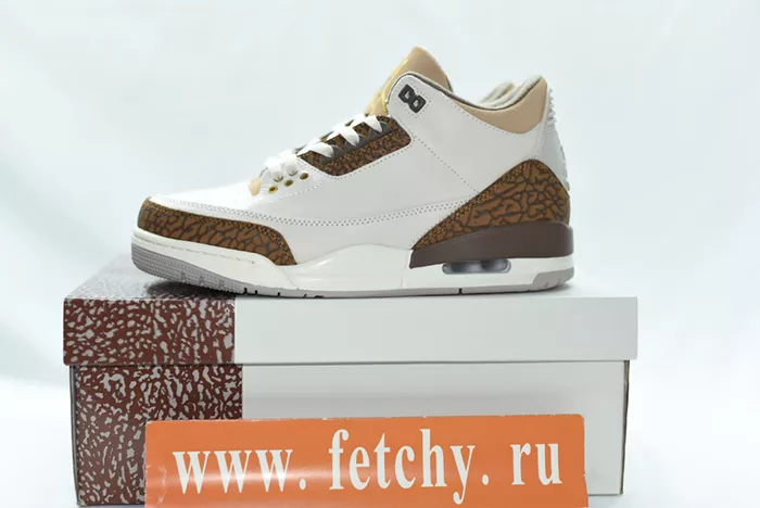 Air Jordan 3 Palomino CT8532-102