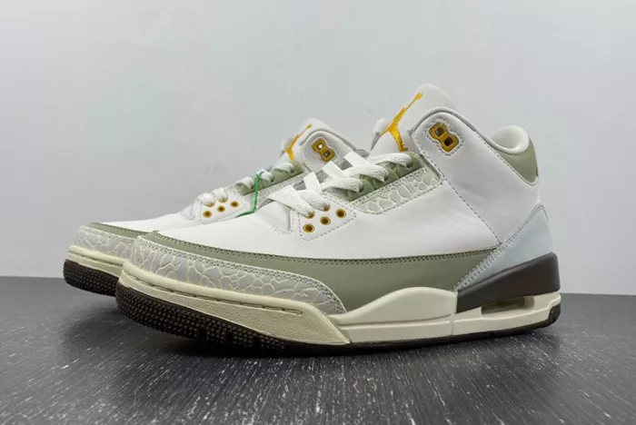 Air Jordan 3 DX6660-800