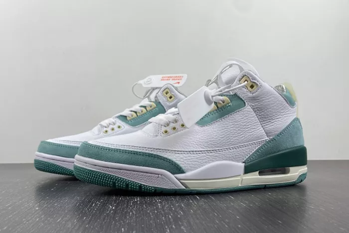 Air Jordan 3 DT8532-130